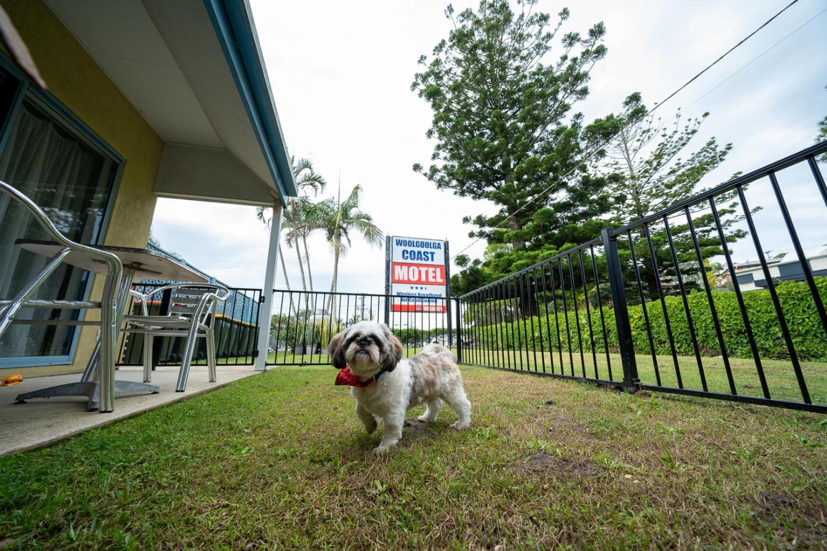 Woolgoolga Coast Motel Phòng bức ảnh